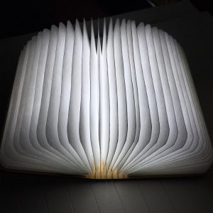Gingko book light