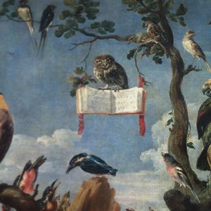 Detail uil uit vogelconcert