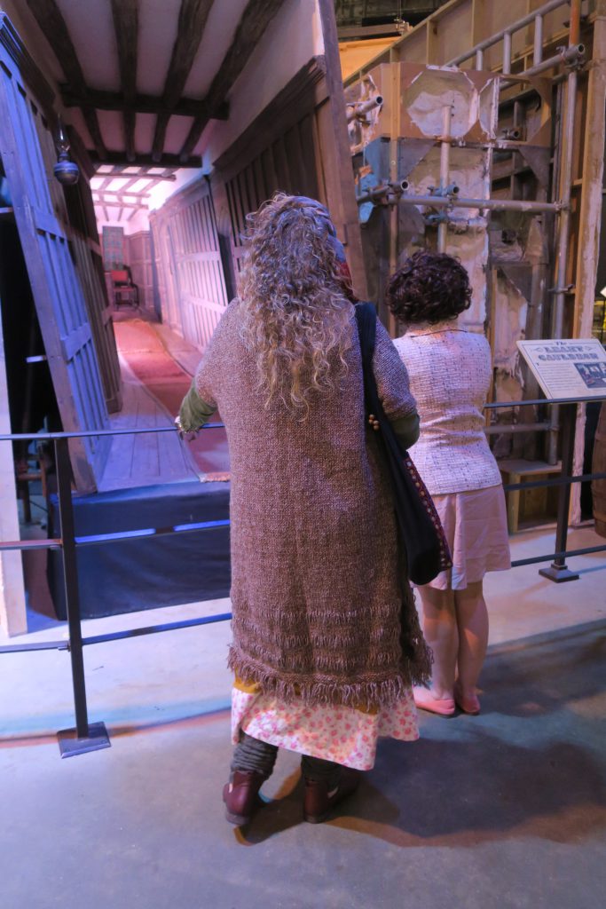 Harry Potter Studio Tour verkleed publiek