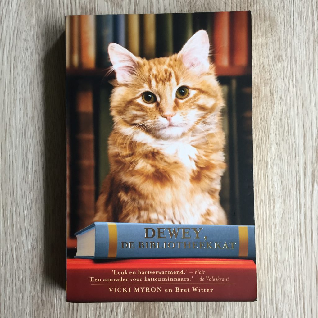 Boek Dewey bibliotheekkat