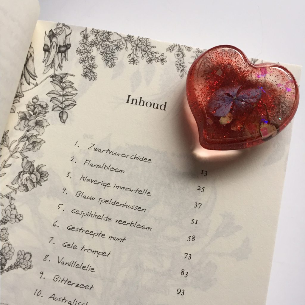 Valentijnsswap 2020 - Boek en gift